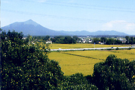 筑波山の写真